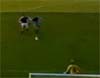 1988- Sparta Praga-Steaua 1-5 (gol Lacatus 2)