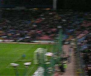 Intreg stadionul scandeaza Fortza Steaua  la Steaua - CFR Cluj