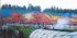 Coregrafie Derby!
