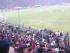 Membrii ai brigazilor din peluza II bucurandu-se la primul gol al Stelei