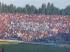 Steaua - Poli - foto Kid