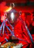 trofeul campionilor (GSp)