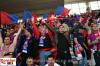 Boro_Steaua