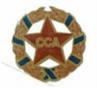 Emblema CCA Bucuresti.