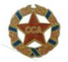 emblema Stelei