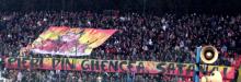 Pieri din Ghencea!