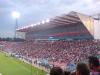 Steaua