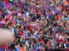 Steaua - Boro