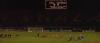 Steaua - Boro
