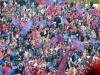 Steaua - Boro