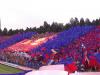 Steaua Campioana