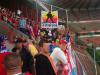 Ultrasii Stelisti la Liege