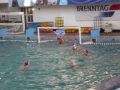 Polo: Steaua Stirom - Rapid 11:4