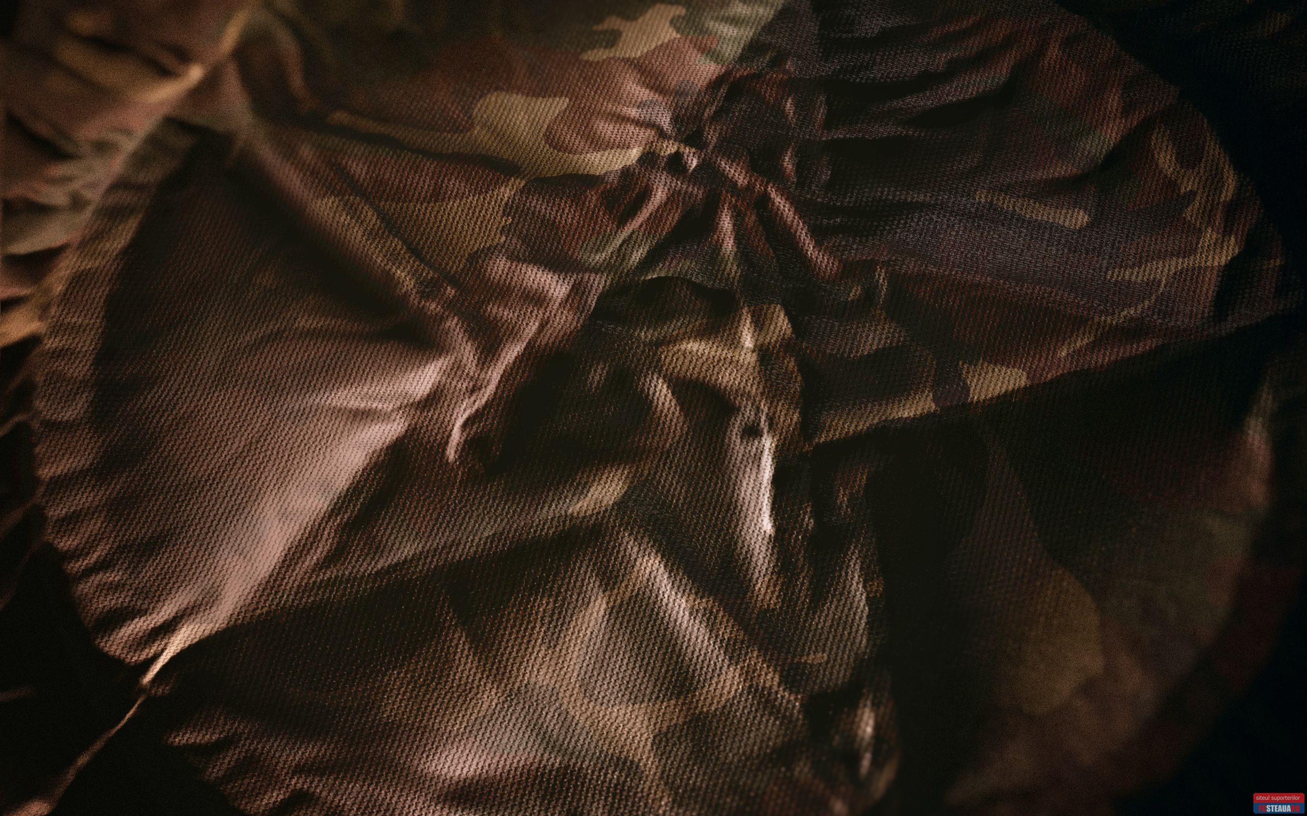 945111441_ASA-CAmox.jpg
