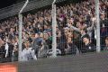 Steaua-Sportul, atmosfera
