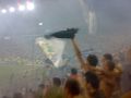 Steaua