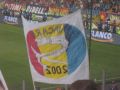 Atmosfera peluza sud Steaua-Bate Borisov