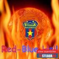 FOTZA CAMPIONI