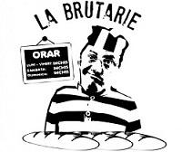 Previziunile unui orocal fara nume