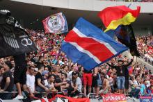 Spre un viitor ros-albastru